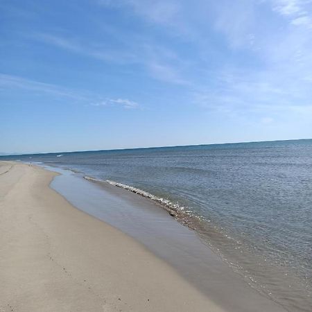 100 Metros De La Playa Daire Sagunto Dış mekan fotoğraf